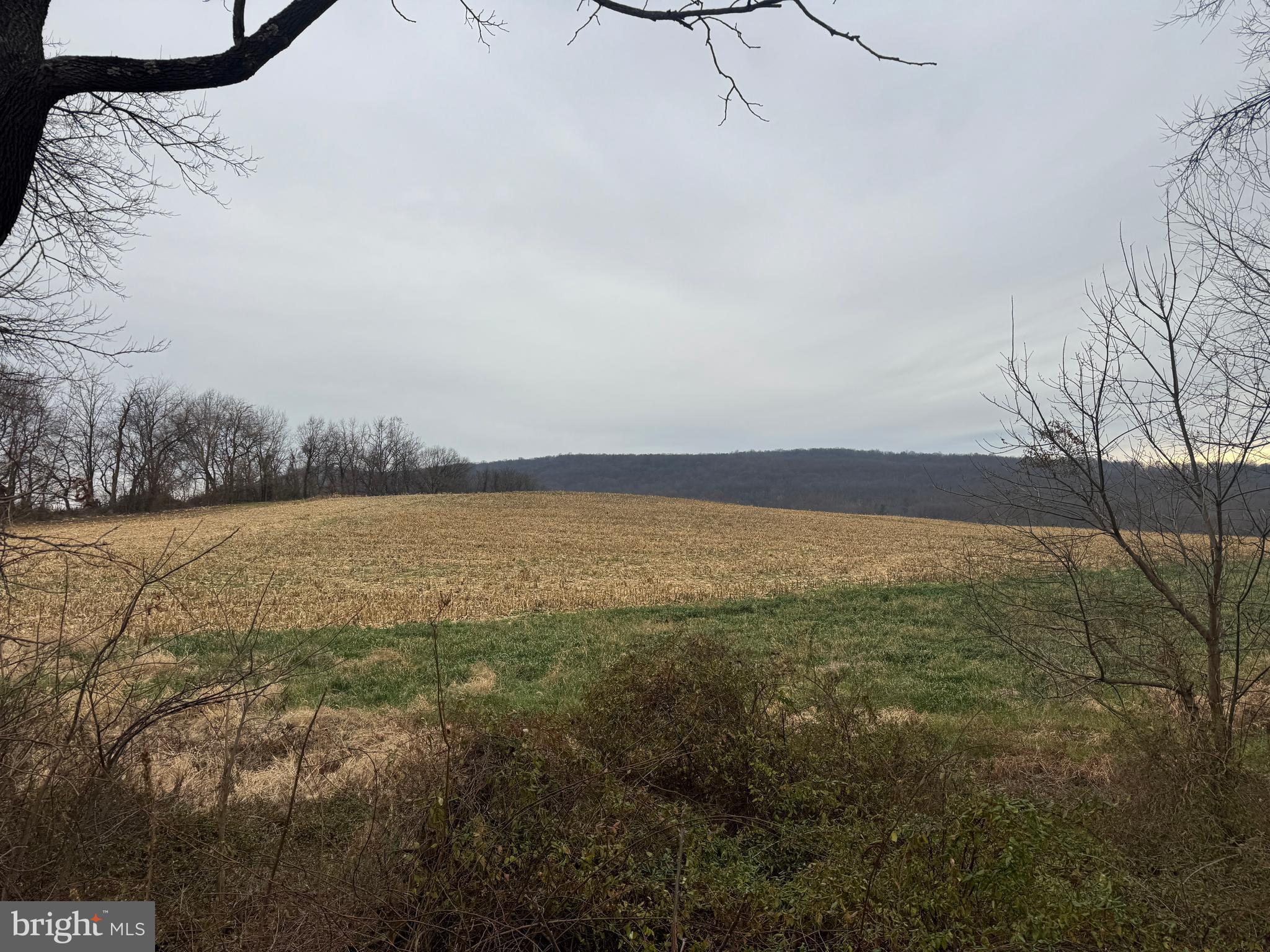 3940 Trego Road Rohrersville, MD 21779 - Photo 51 of 68