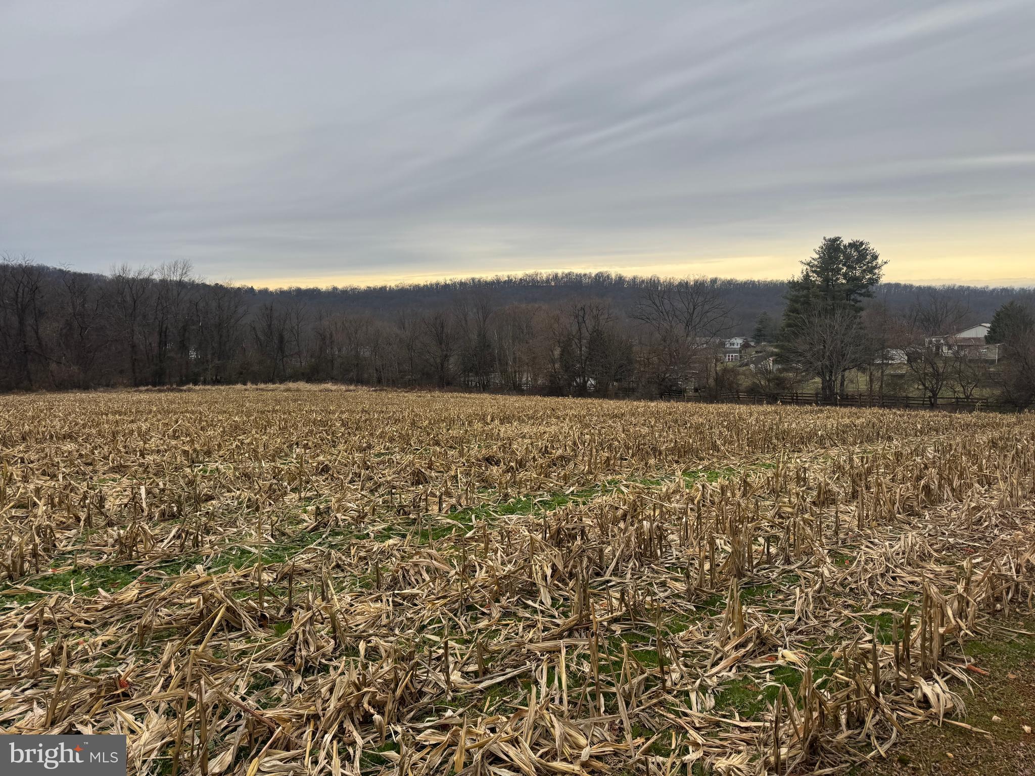 3940 Trego Road Rohrersville, MD 21779 - Photo 52 of 68