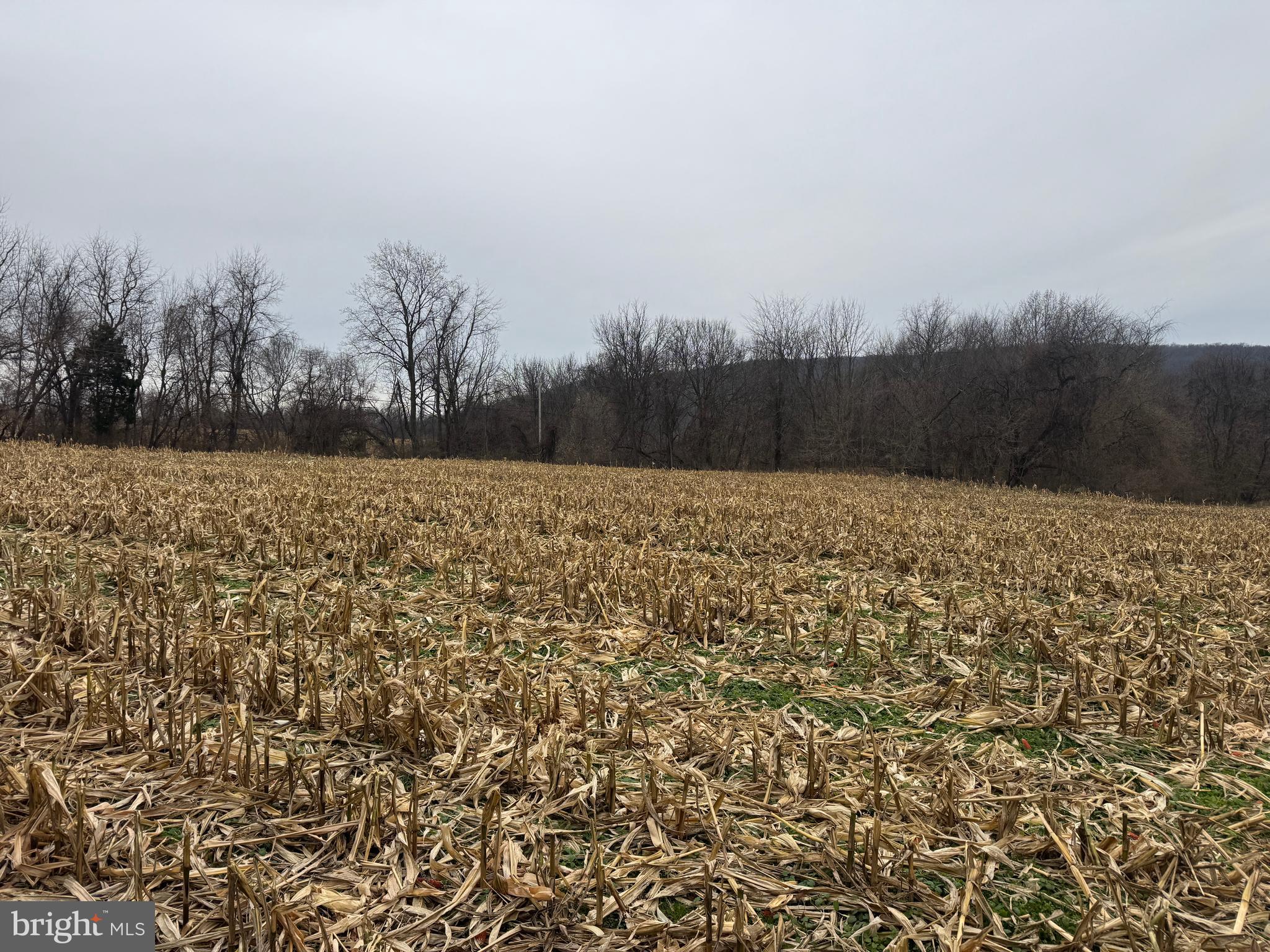 3940 Trego Road Rohrersville, MD 21779 - Photo 53 of 68