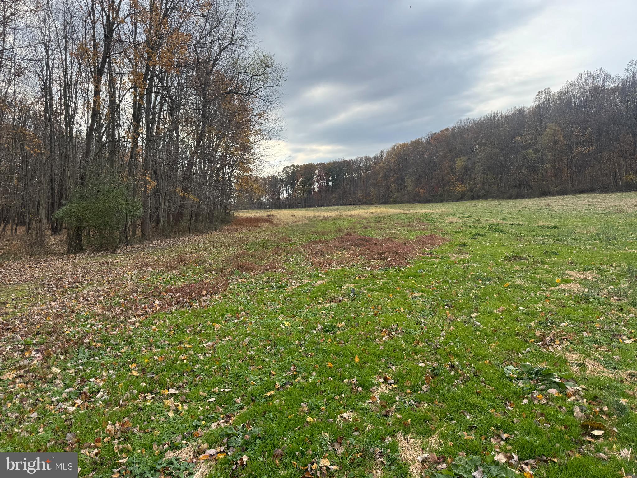 3940 Trego Road Rohrersville, MD 21779 - Photo 55 of 68