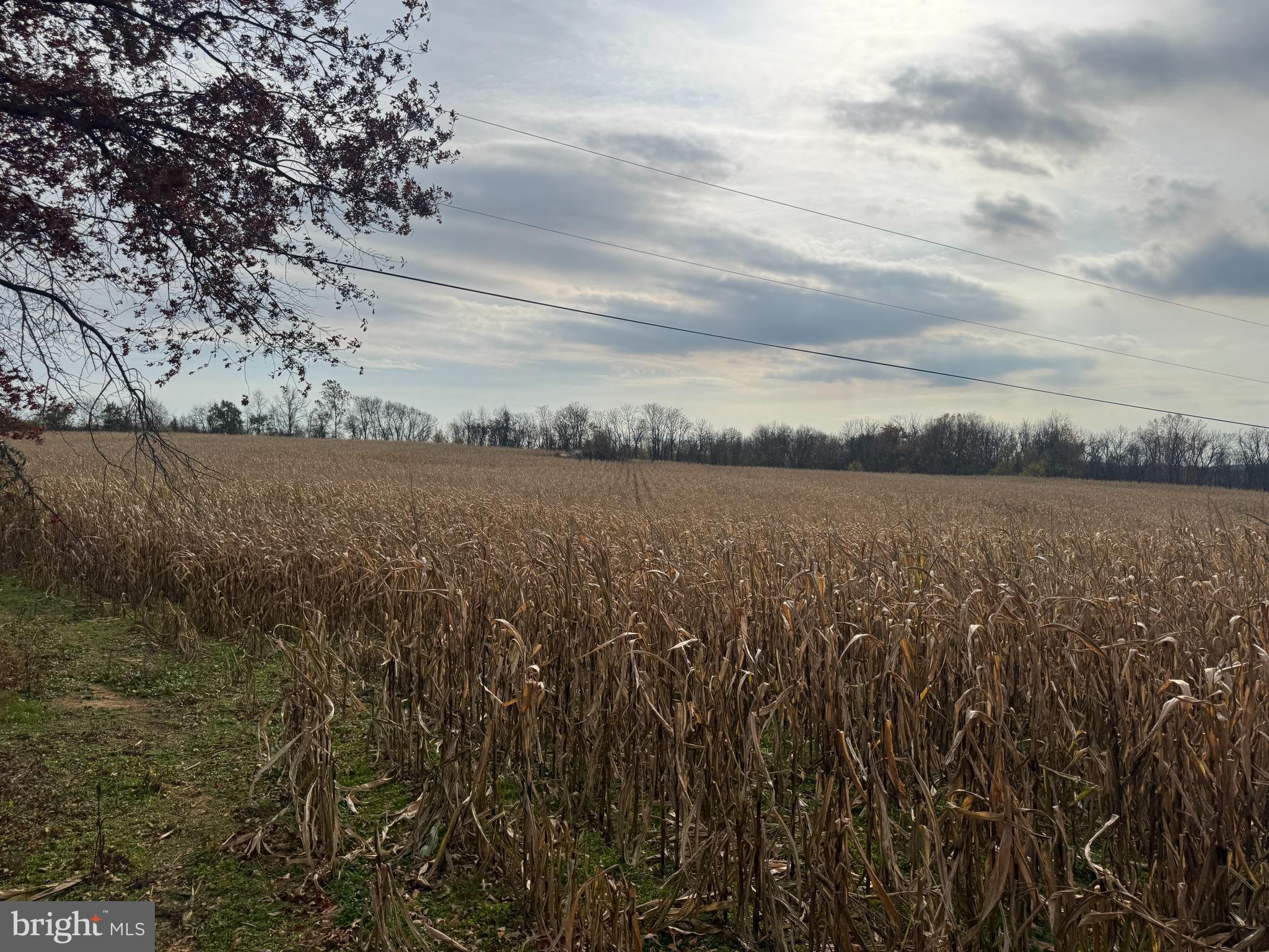 3940 Trego Road Rohrersville, MD 21779 - Photo 56 of 68