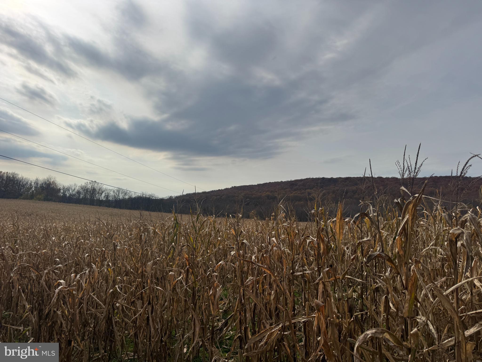 3940 Trego Road Rohrersville, MD 21779 - Photo 57 of 68