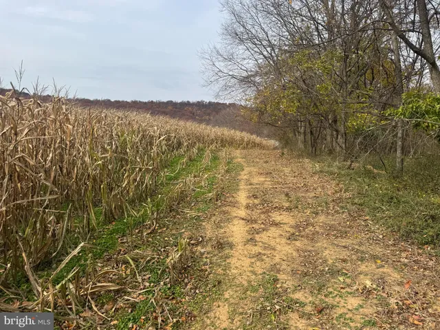 $699,000 | 3940 Trego Road, Rohrersville, MD 21779