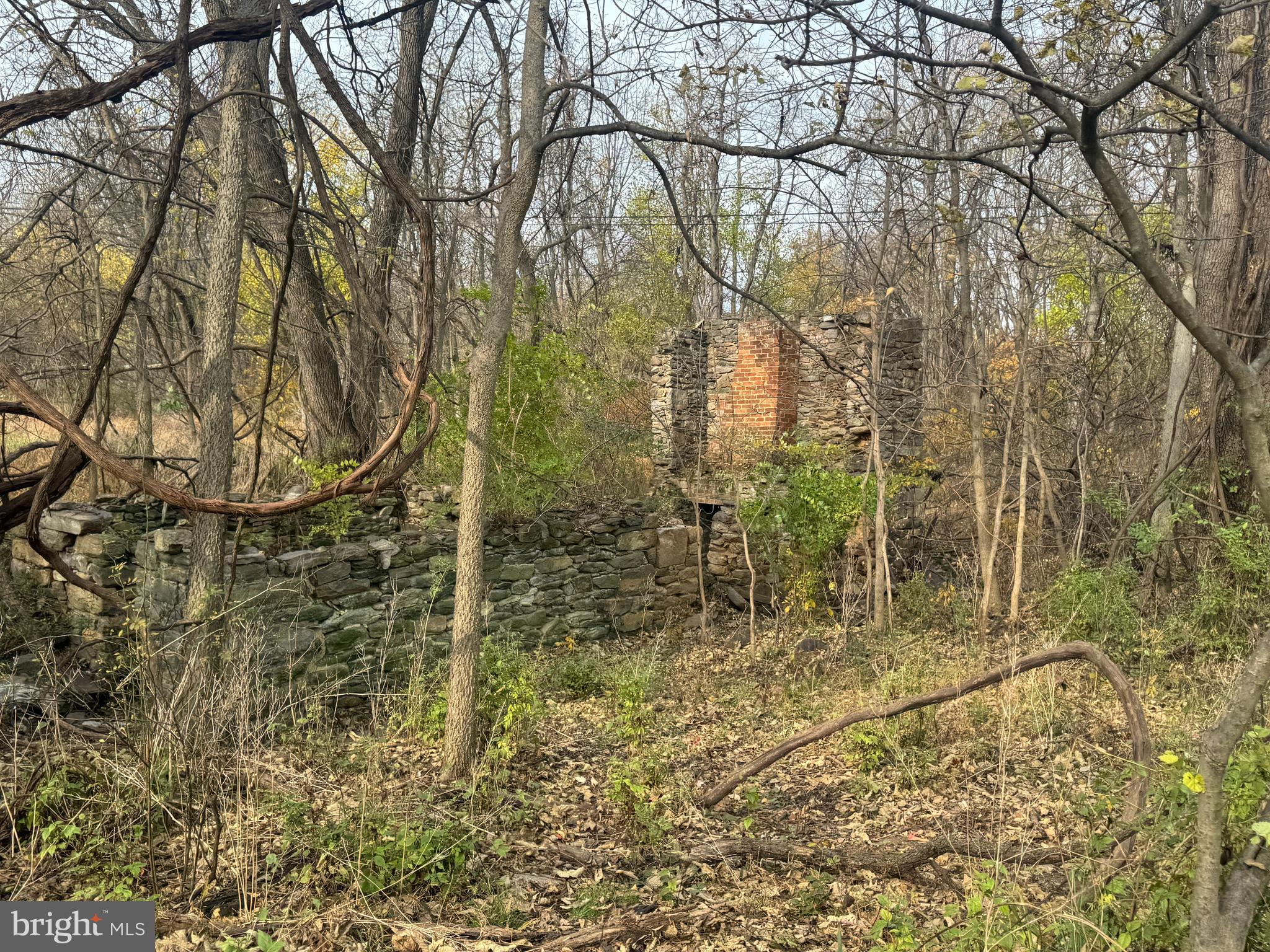 3940 Trego Road Rohrersville, MD 21779 - Photo 59 of 68