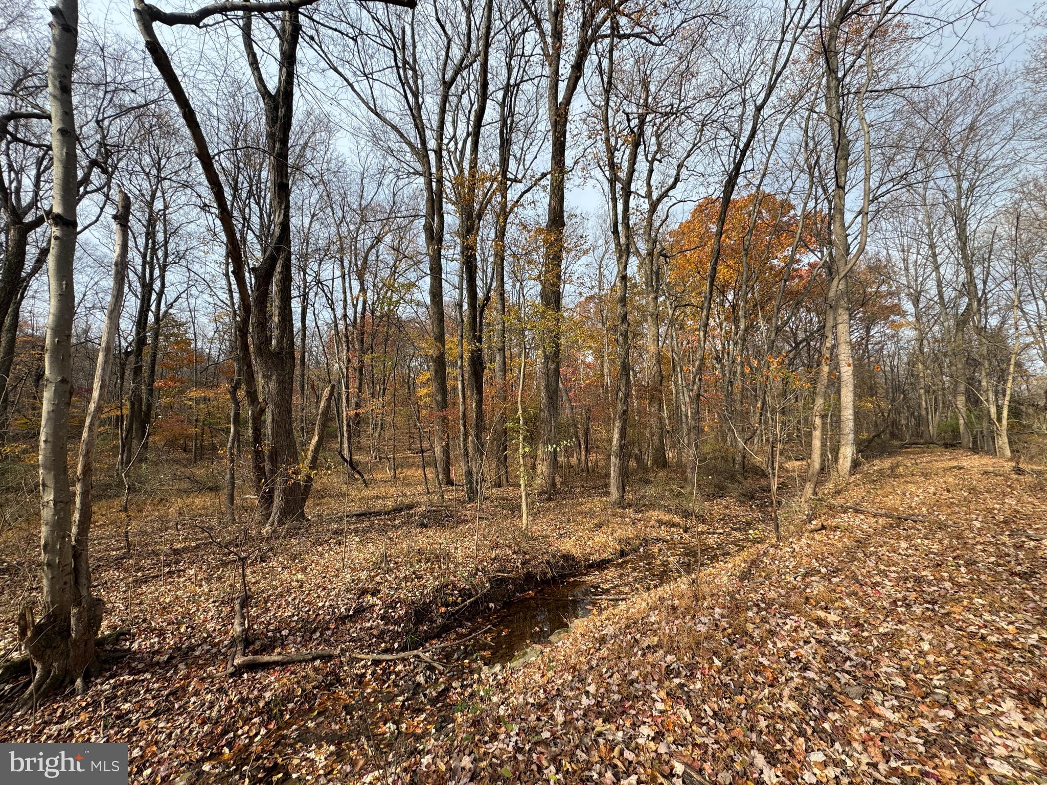 3940 Trego Road Rohrersville, MD 21779 - Photo 60 of 68