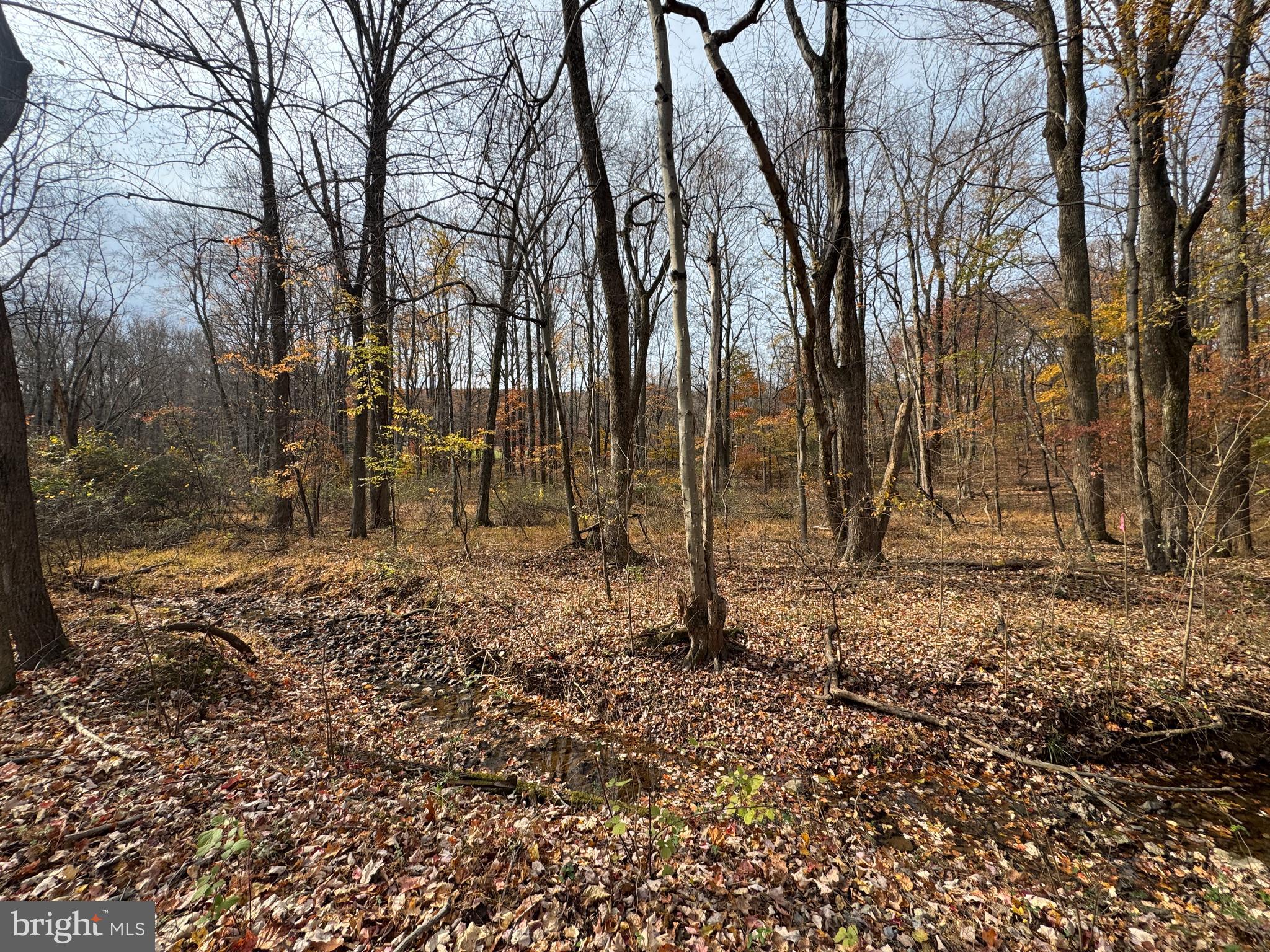 3940 Trego Road Rohrersville, MD 21779 - Photo 61 of 68