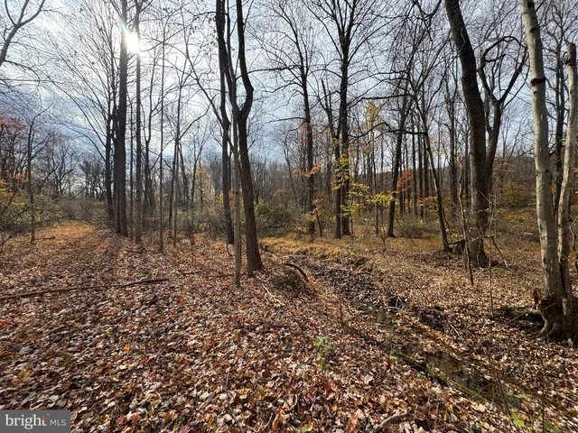 $699,000 | 3940 Trego Road, Rohrersville, MD 21779