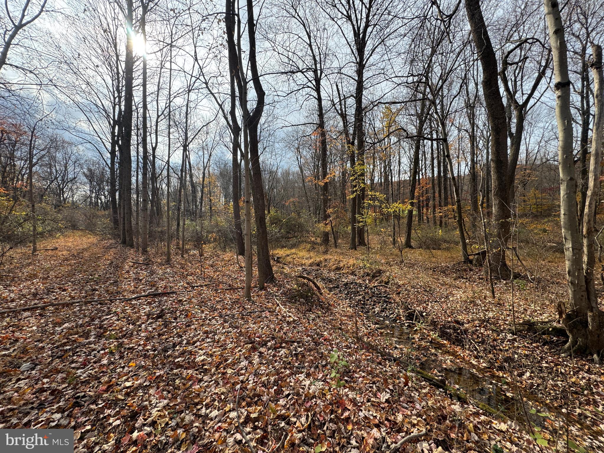 3940 Trego Road Rohrersville, MD 21779 - Photo 62 of 68