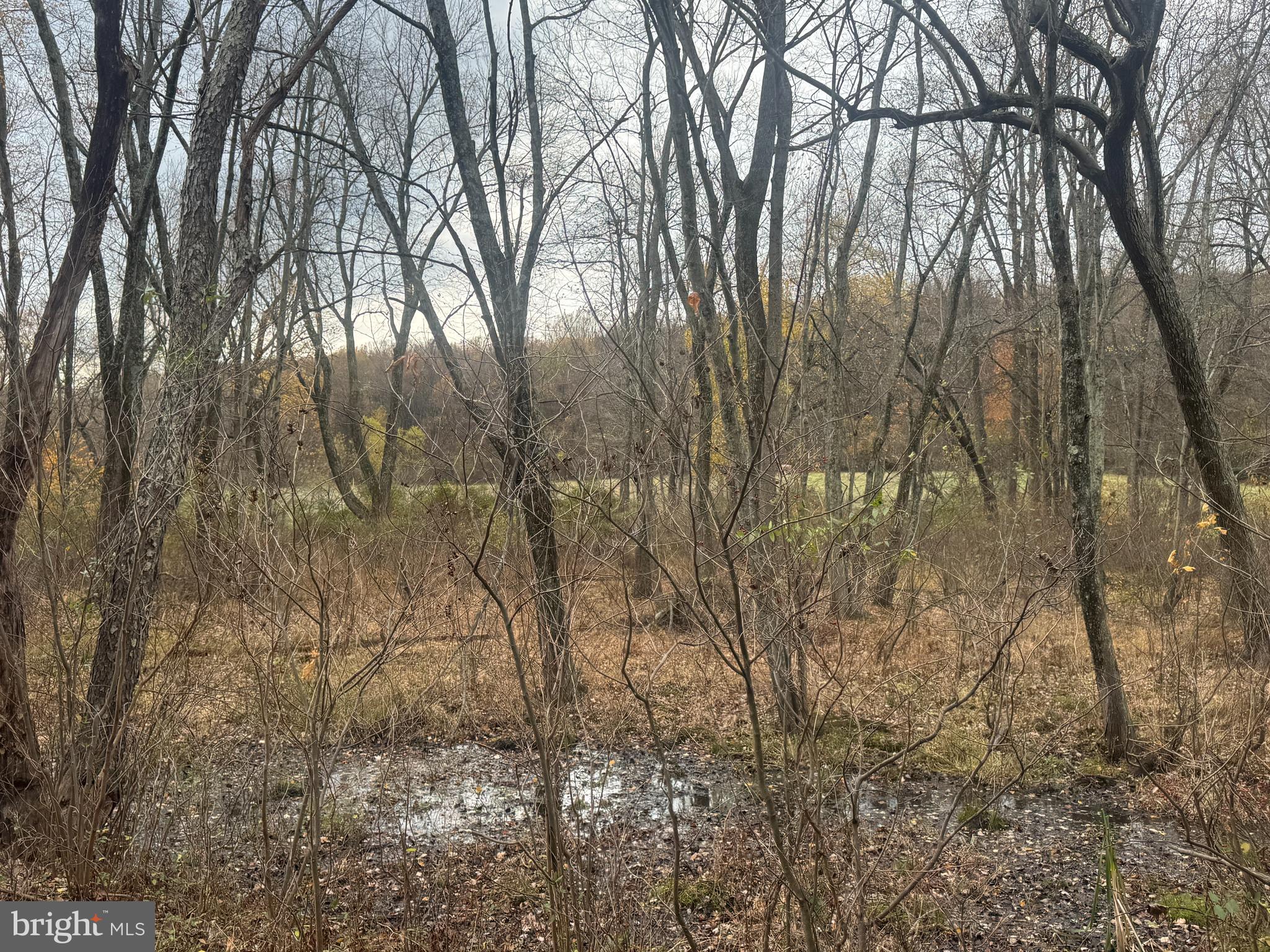 3940 Trego Road Rohrersville, MD 21779 - Photo 63 of 68