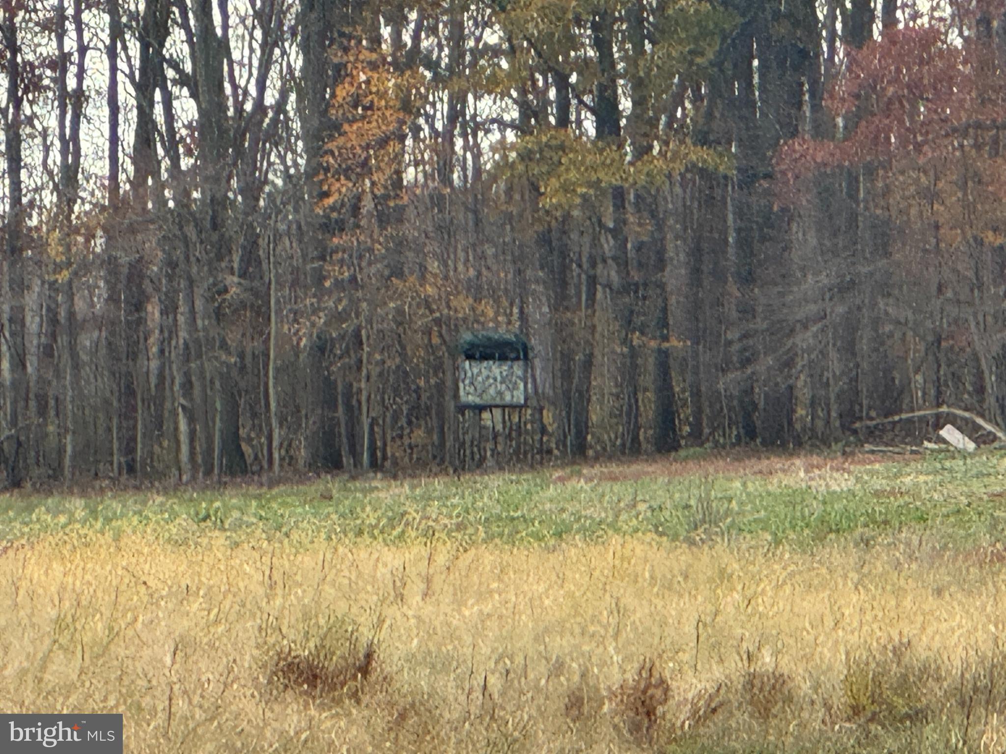 3940 Trego Road Rohrersville, MD 21779 - Photo 65 of 68