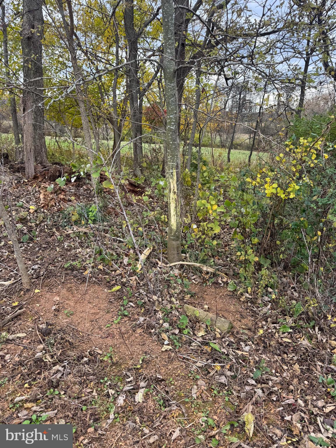 3940 Trego Road Rohrersville, MD 21779 - Photo 67 of 68