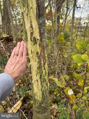 $699,000 | 3940 Trego Road, Rohrersville, MD 21779