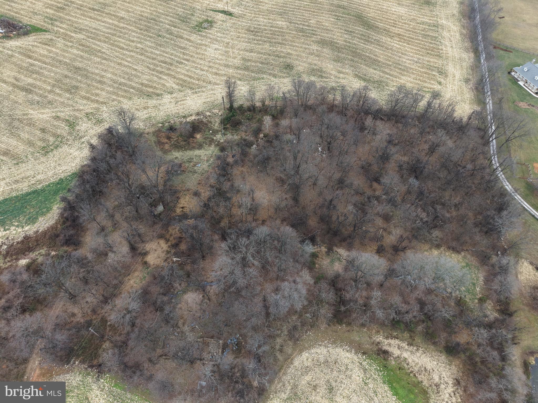 3940 Trego Road Rohrersville, MD 21779 - Photo 9 of 68