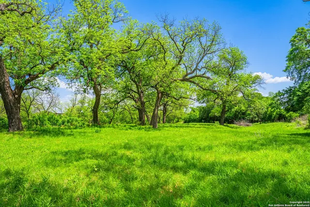 a view of a lush green space