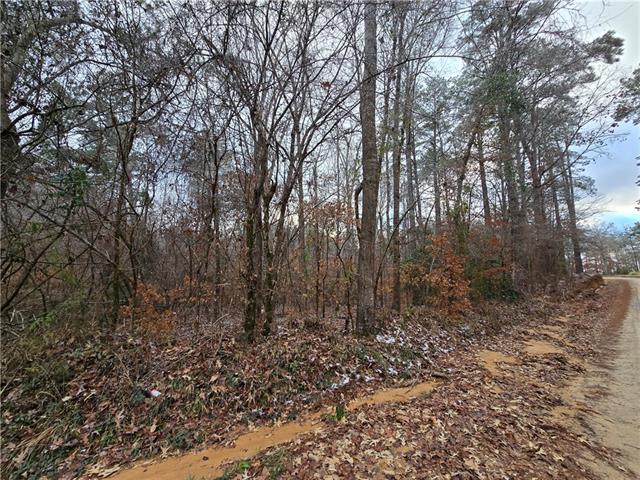 0 C C Smith Road Leesville, LA 71446 - Photo 5 of 5