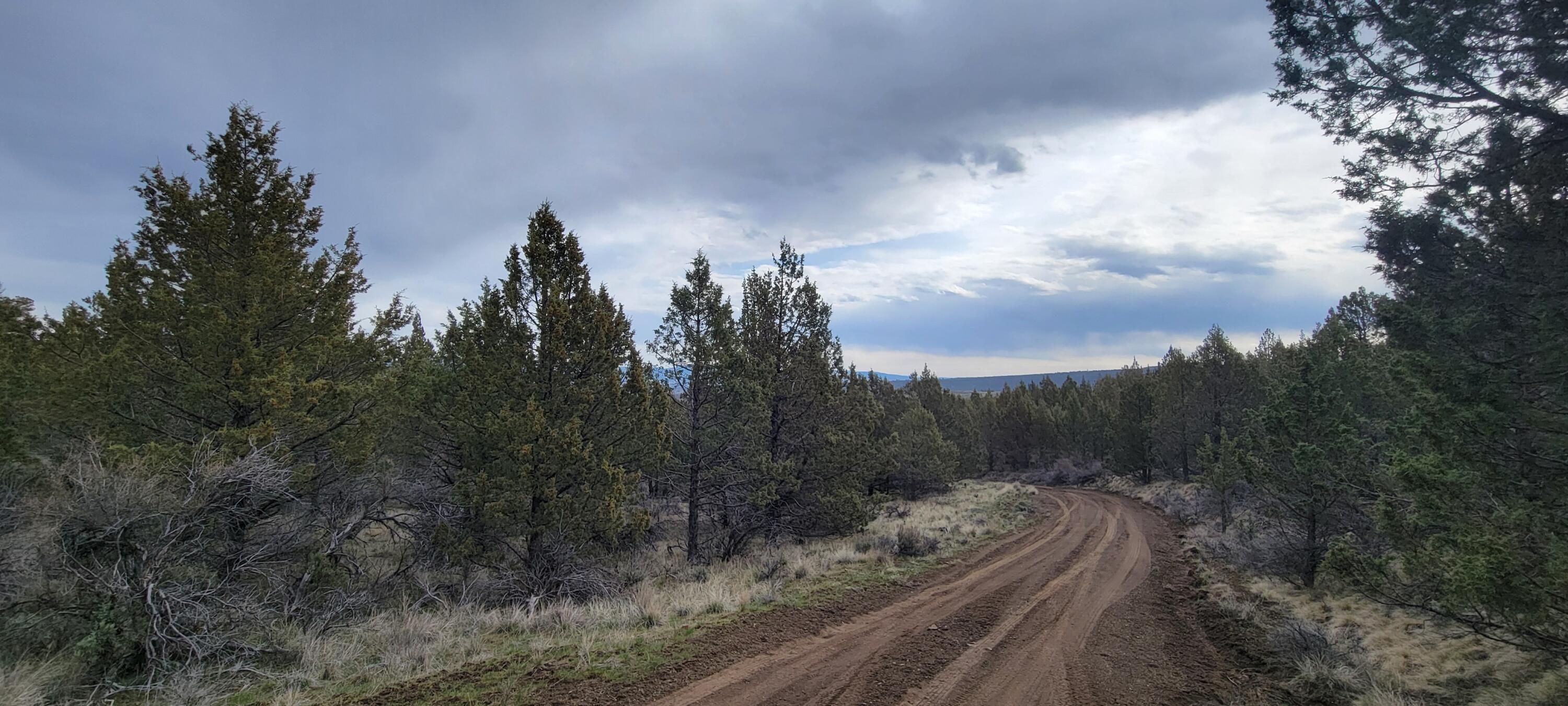 Southeast Osprey Road Prineville, OR 97754 - Photo 23 of 30 Road 03