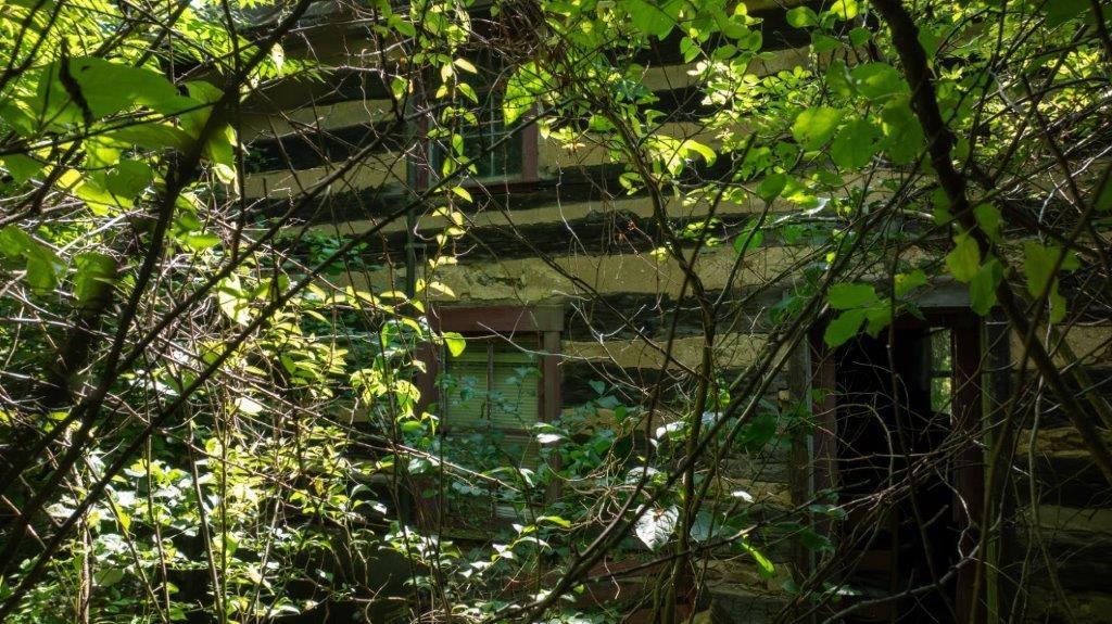 330 Ridgewood Drive Fredericktown, PA 15333 - Photo 17 of 46 Current Condition - Cabin