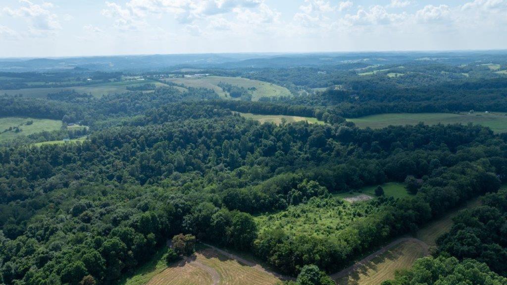 330 Ridgewood Drive Fredericktown, PA 15333 - Photo 22 of 46