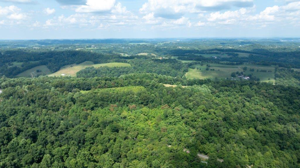330 Ridgewood Drive Fredericktown, PA 15333 - Photo 26 of 46