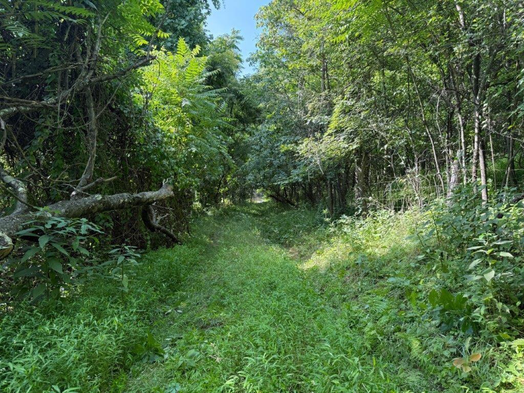 330 Ridgewood Drive Fredericktown, PA 15333 - Photo 30 of 46