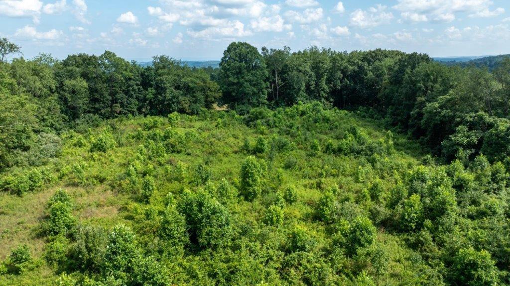 330 Ridgewood Drive Fredericktown, PA 15333 - Photo 3 of 46