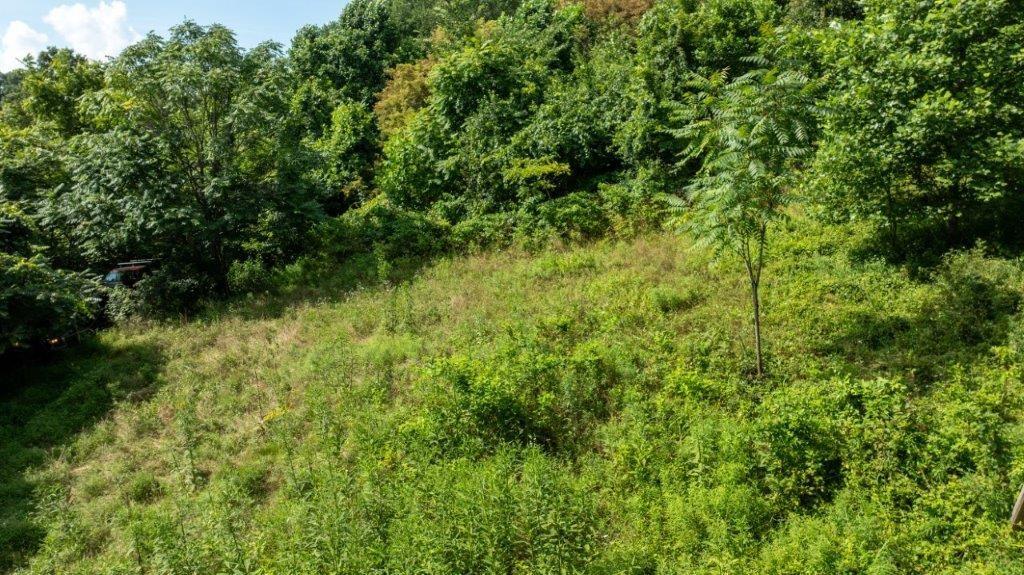 330 Ridgewood Drive Fredericktown, PA 15333 - Photo 7 of 46