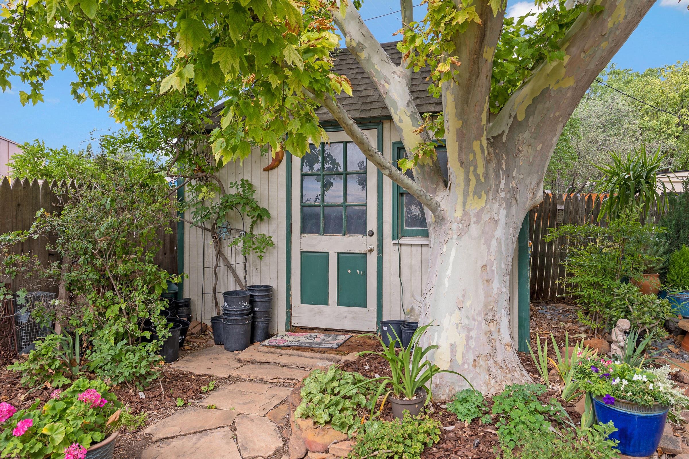 7413 Holyoke Trail Amarillo, TX 79121 - Photo 22 of 24 023_Shed