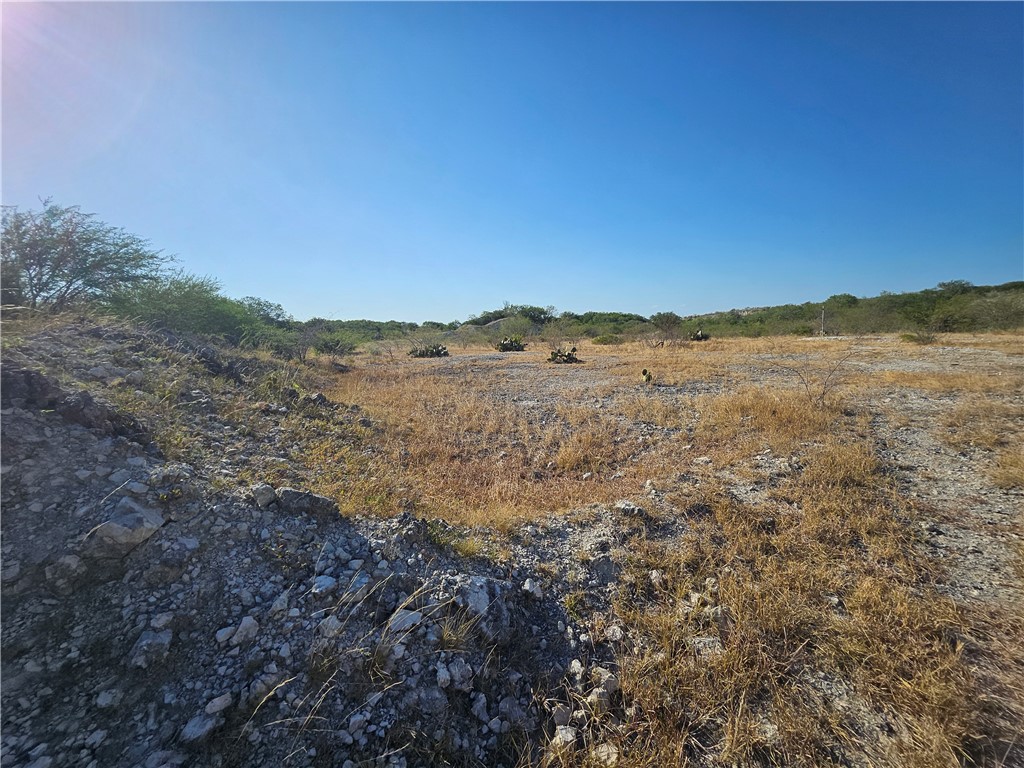 24024 441st Circle Mathis, TX 78368 - Photo 35 of 57 Gallery Image 35