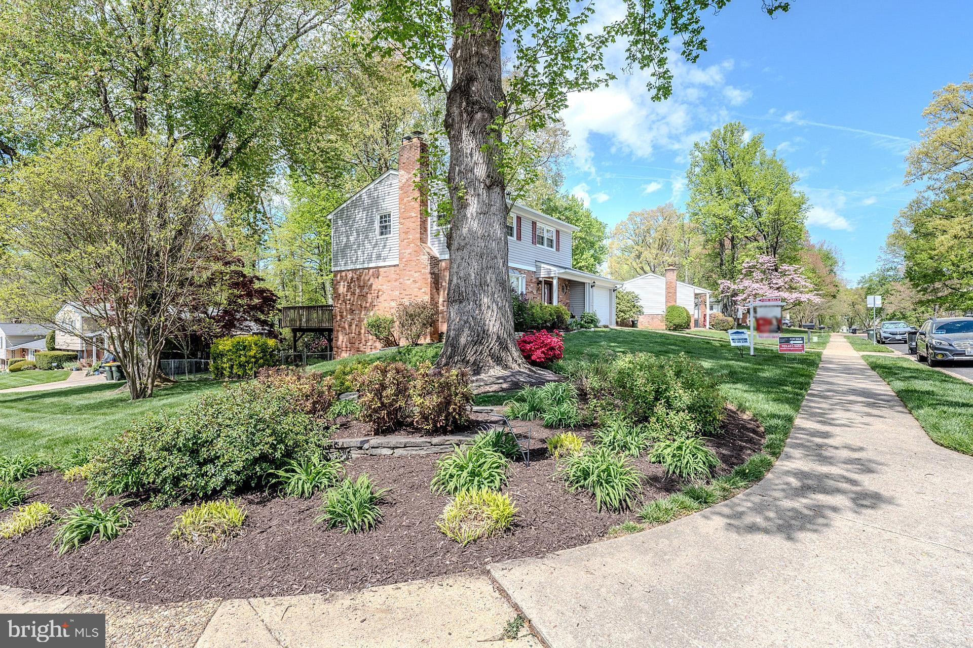 6526 Greenview Lane Springfield, VA 22152 - Photo 3 of 41 a view of a garden with flowers