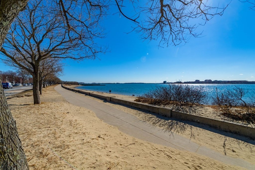 199 I Street, Unit 199 Boston, MA 02127 - Photo 19 of 19