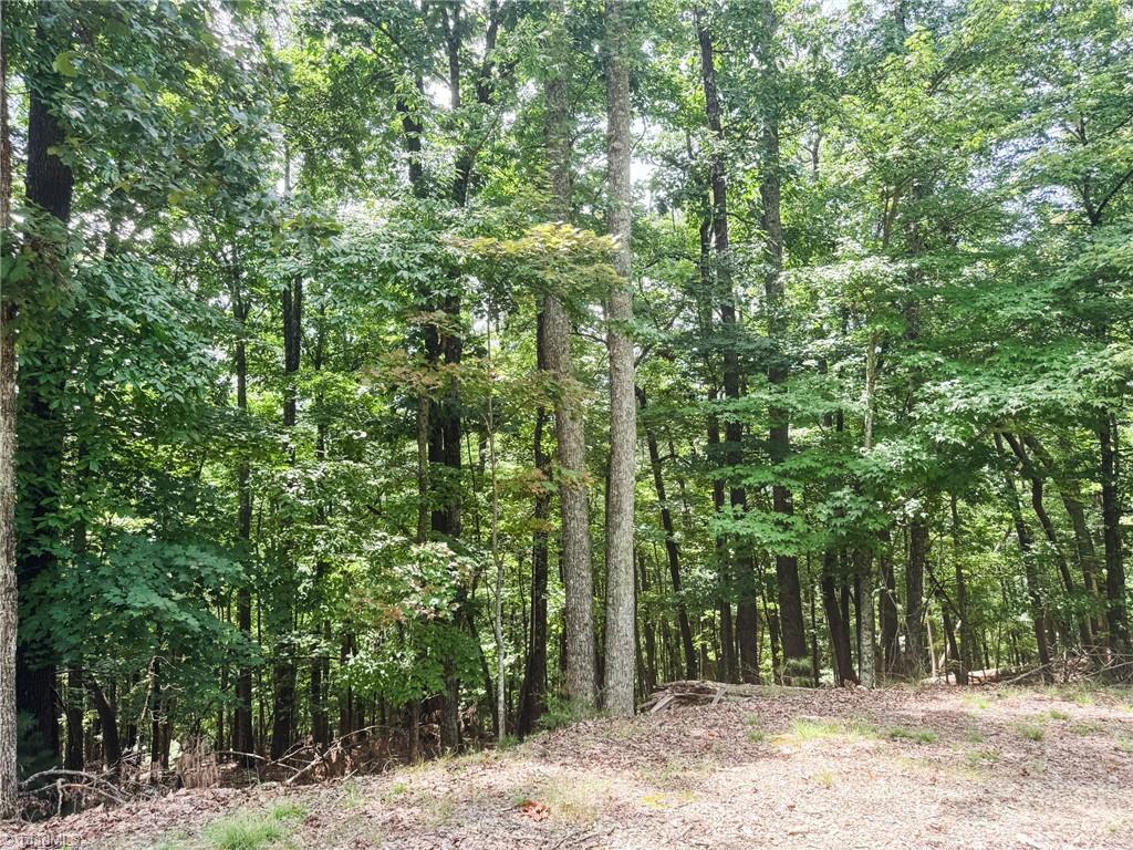 Tbd Spencer Ridge Road McGrady, NC 28649 - Photo 2 of 23 Gallery Image 2