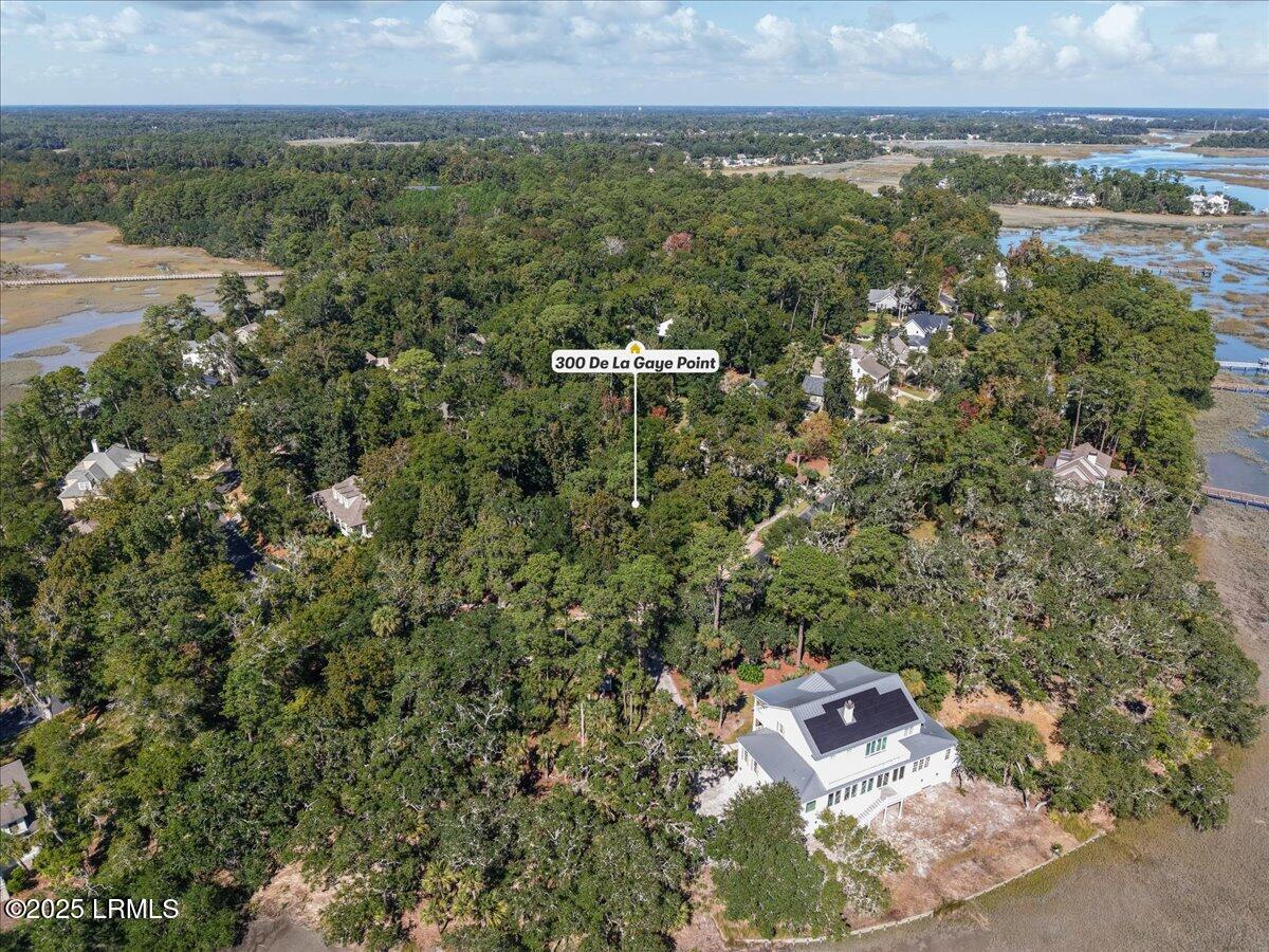 300 De La Gaye Point Beaufort, SC 29902 - Photo 6 of 16 06-300 De La Gaye Point