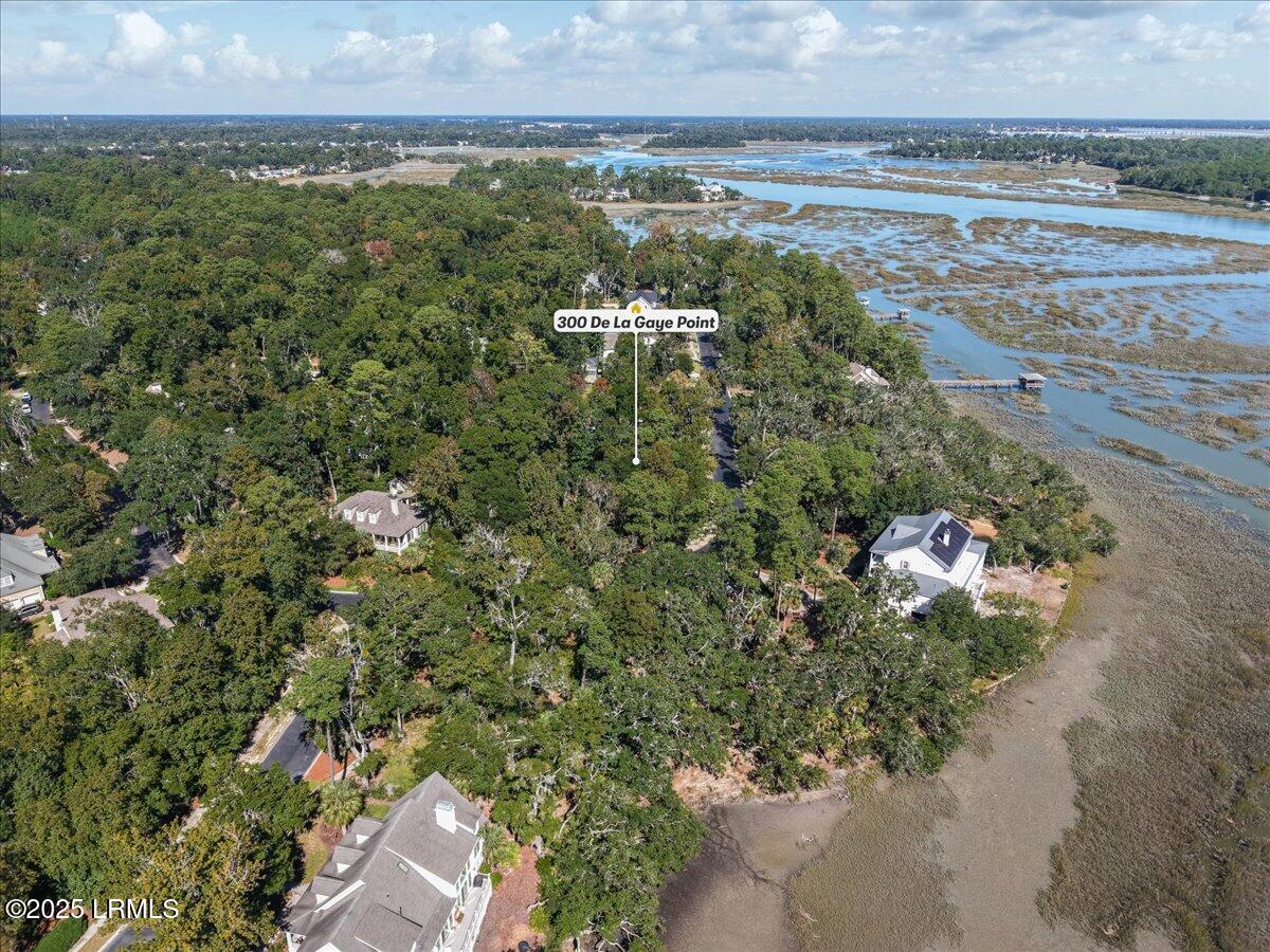 300 De La Gaye Point Beaufort, SC 29902 - Photo 8 of 16 08-300 De La Gaye Point