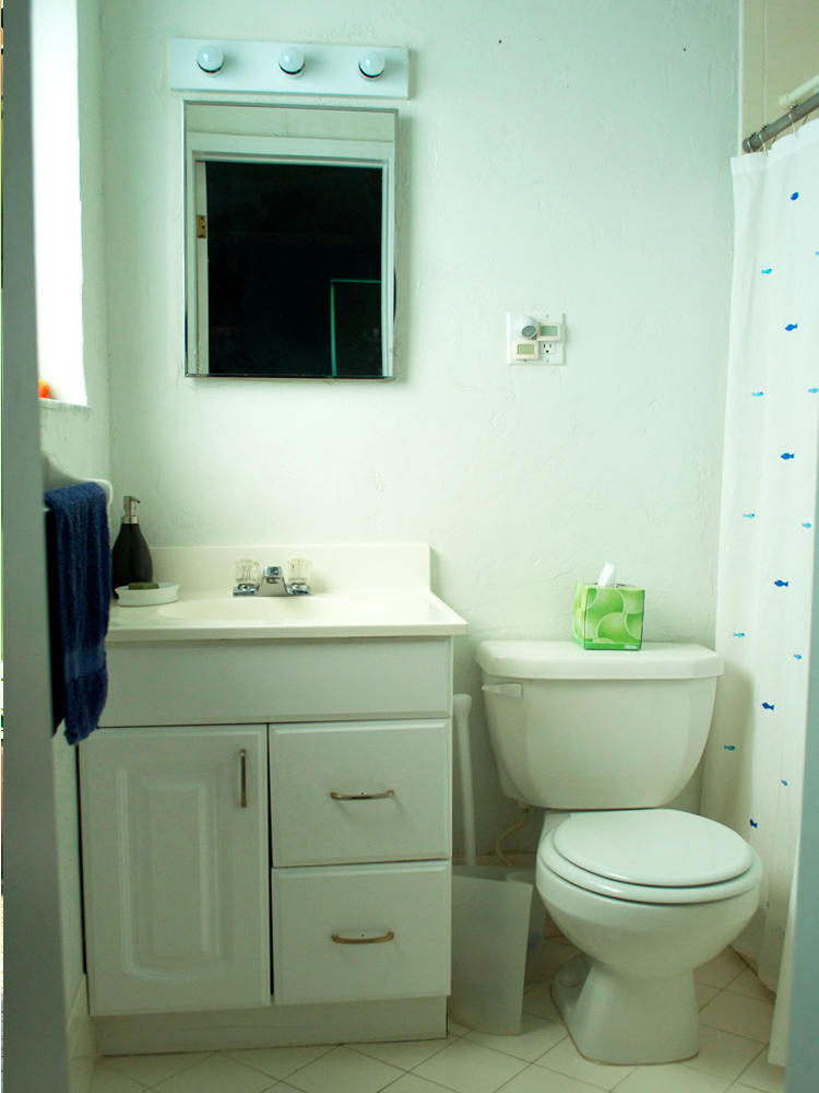 699 Northwest 14th Avenue Boca Raton, FL 33486 - Photo 16 of 18 Second Bath