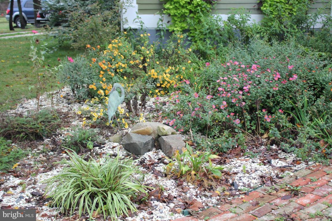 20633 Nanticoke Road Nanticoke, MD 21840 - Photo 4 of 46 a view of a garden with plants