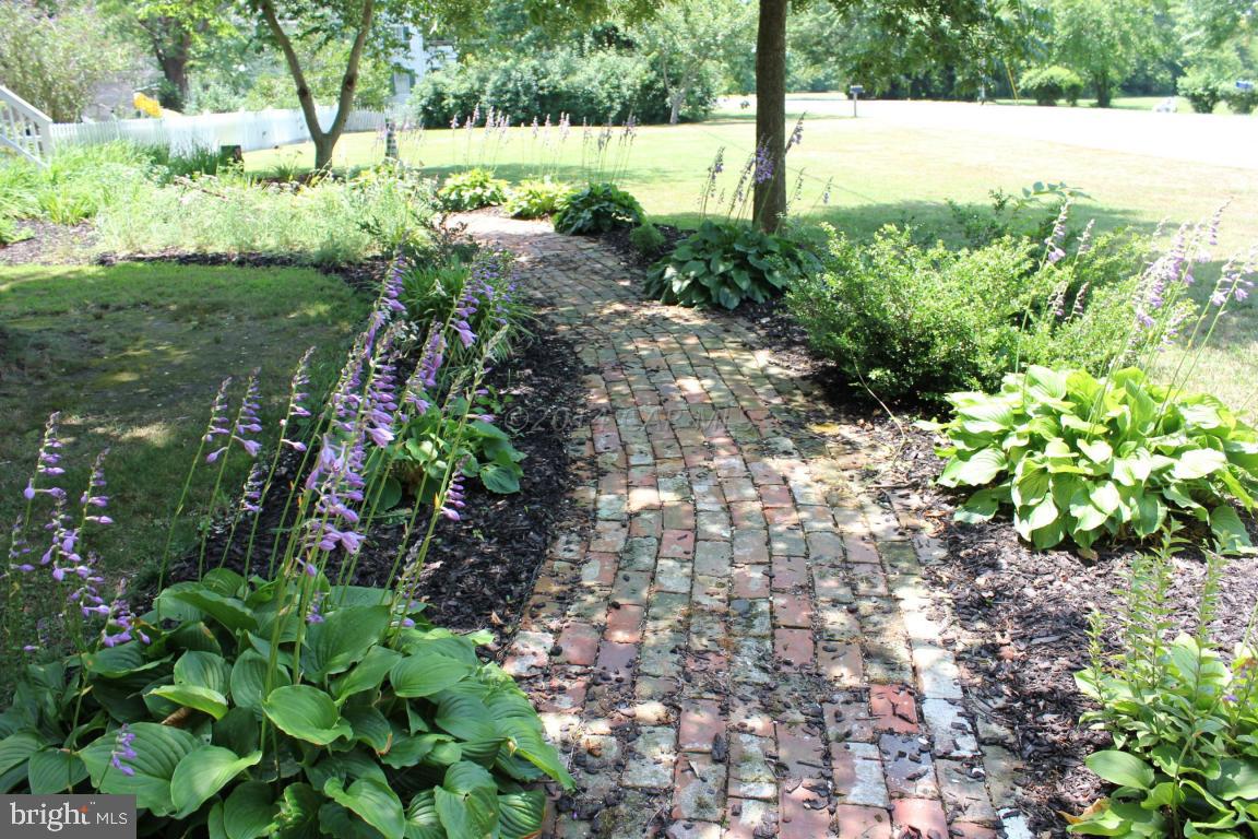 20633 Nanticoke Road Nanticoke, MD 21840 - Photo 6 of 46 a view of a garden with a tree
