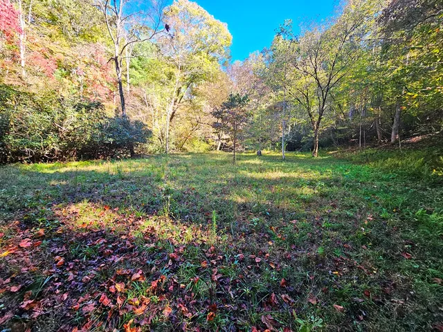a backyard of a house with lots of green space