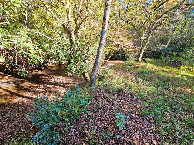 a view of backyard with swimming pool