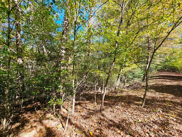 a view of backyard with green space