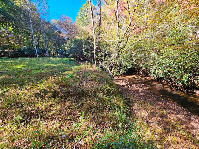 a view of a yard with plants and trees