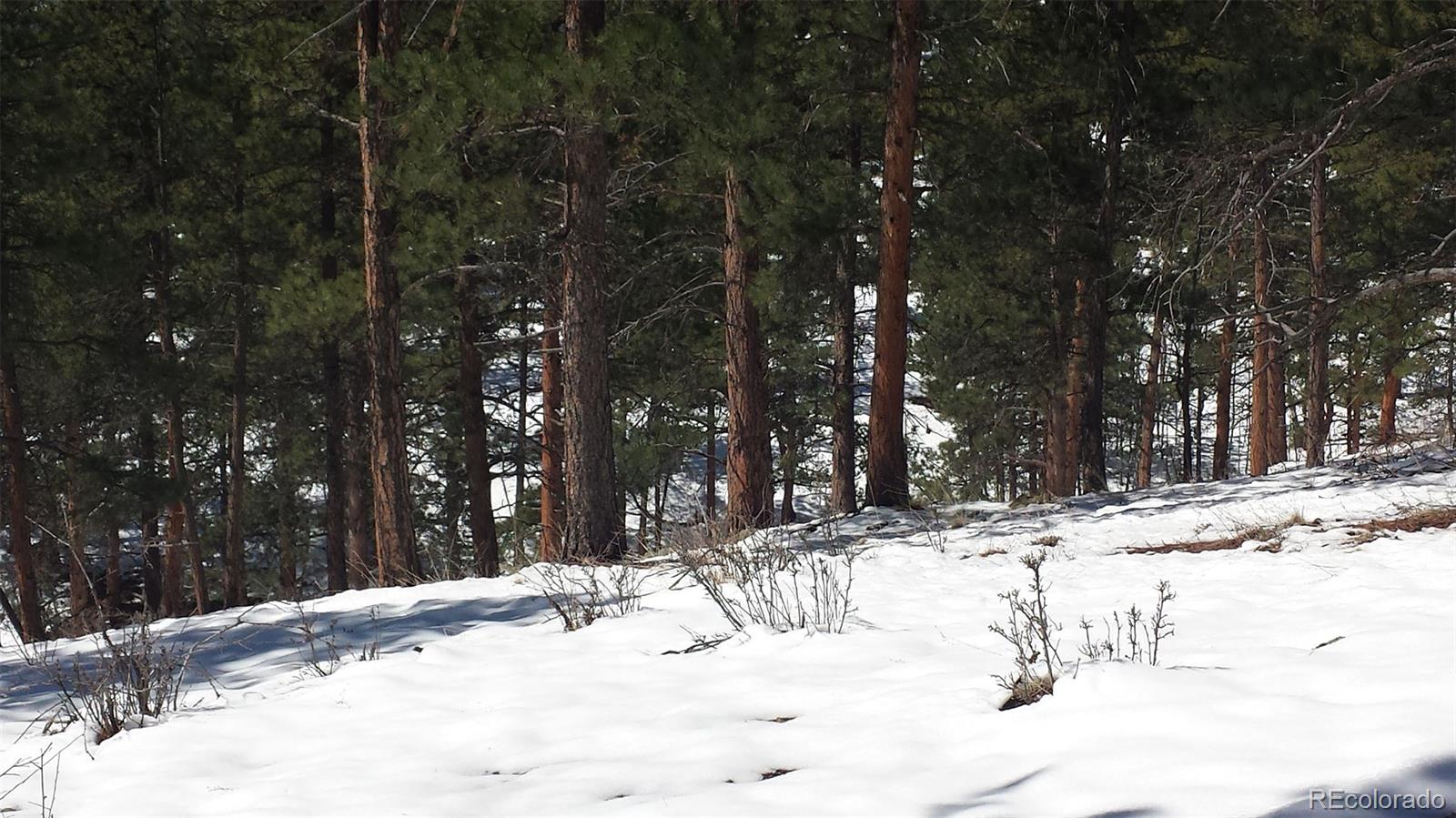 537 Crow Valley Road Bailey, CO 80421 - Photo 20 of 29 Gallery Image 20