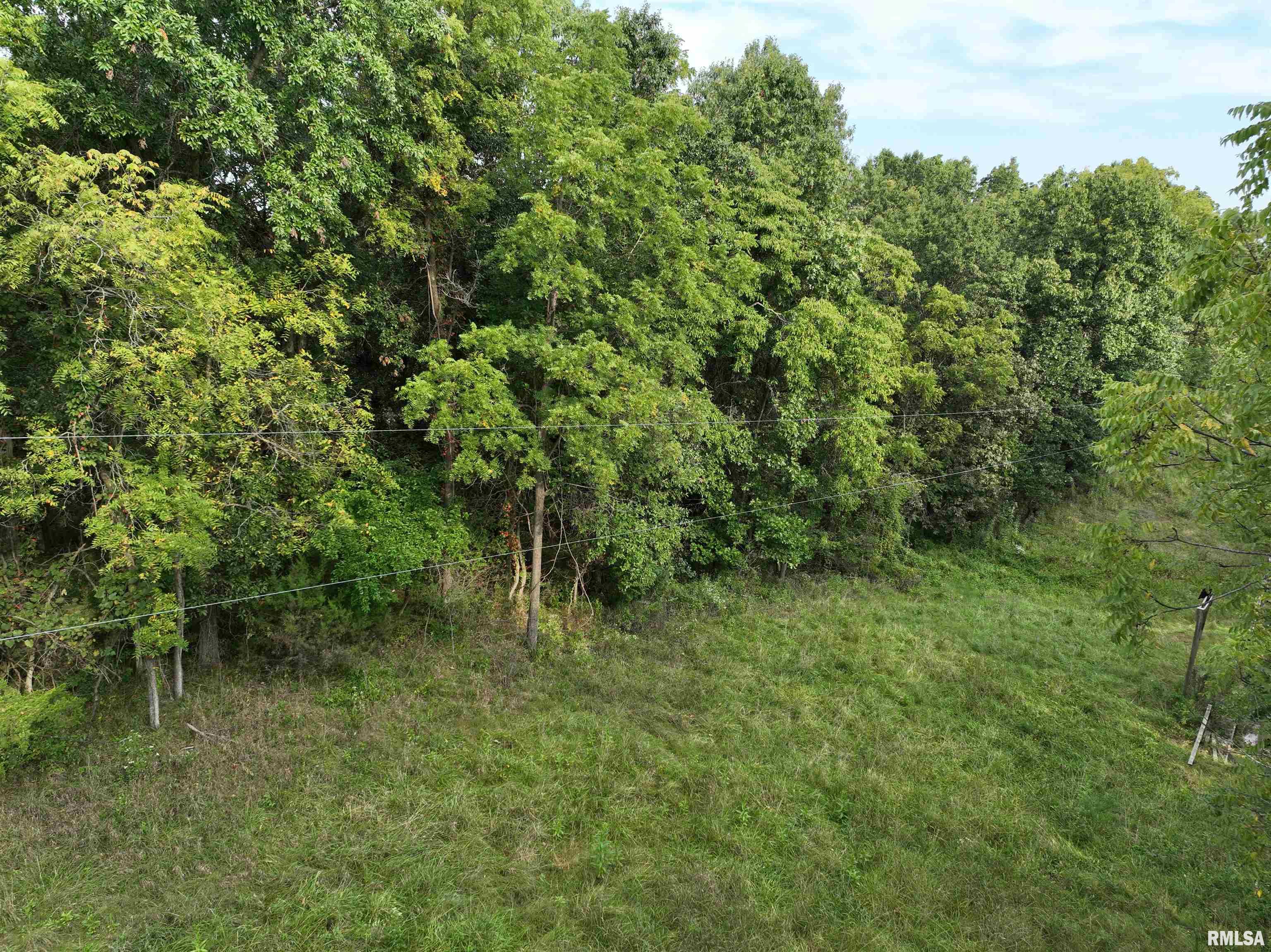 0 383rd Street Pittsfield, IL 62363 - Photo 12 of 20