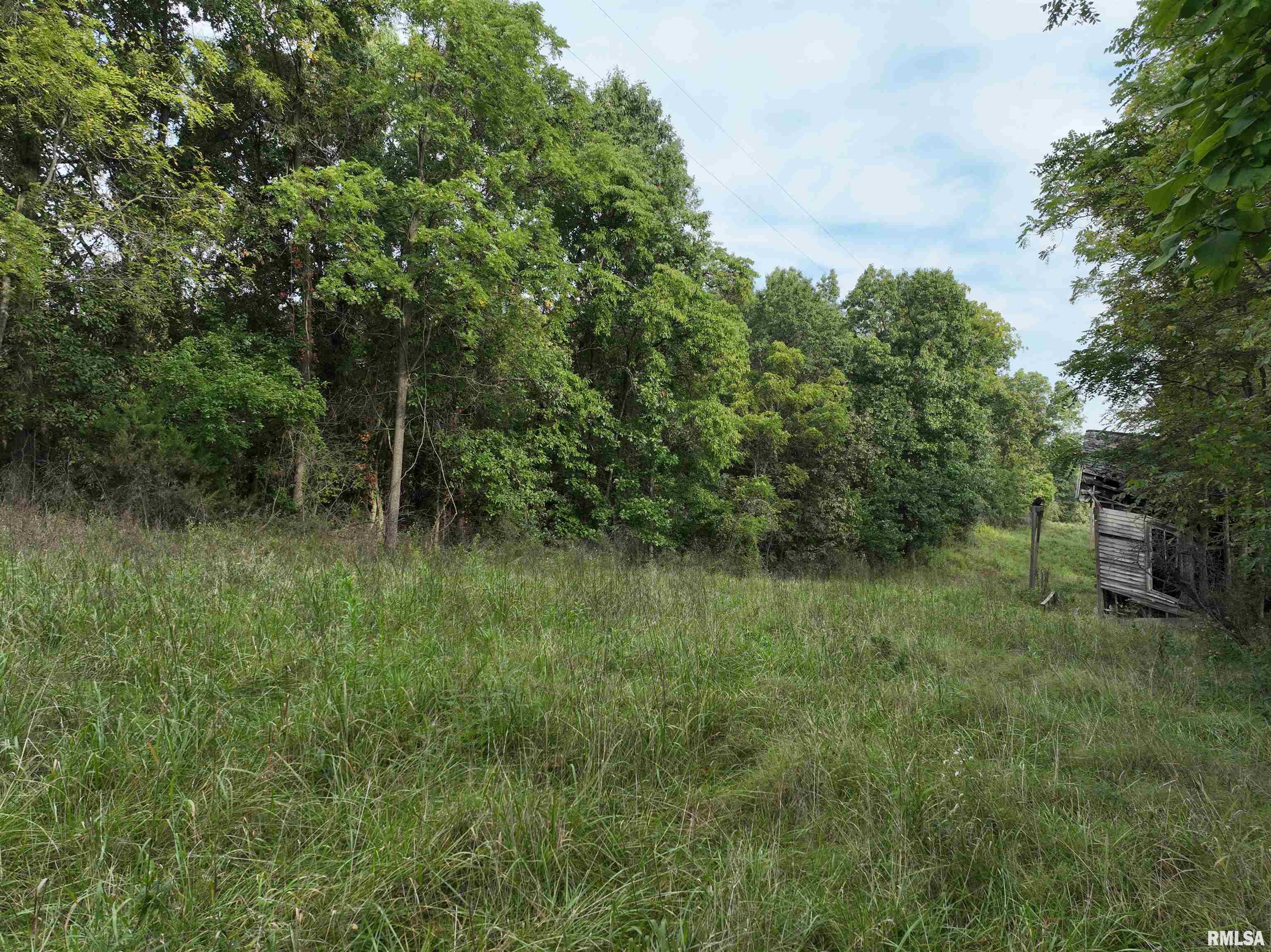 0 383rd Street Pittsfield, IL 62363 - Photo 13 of 20