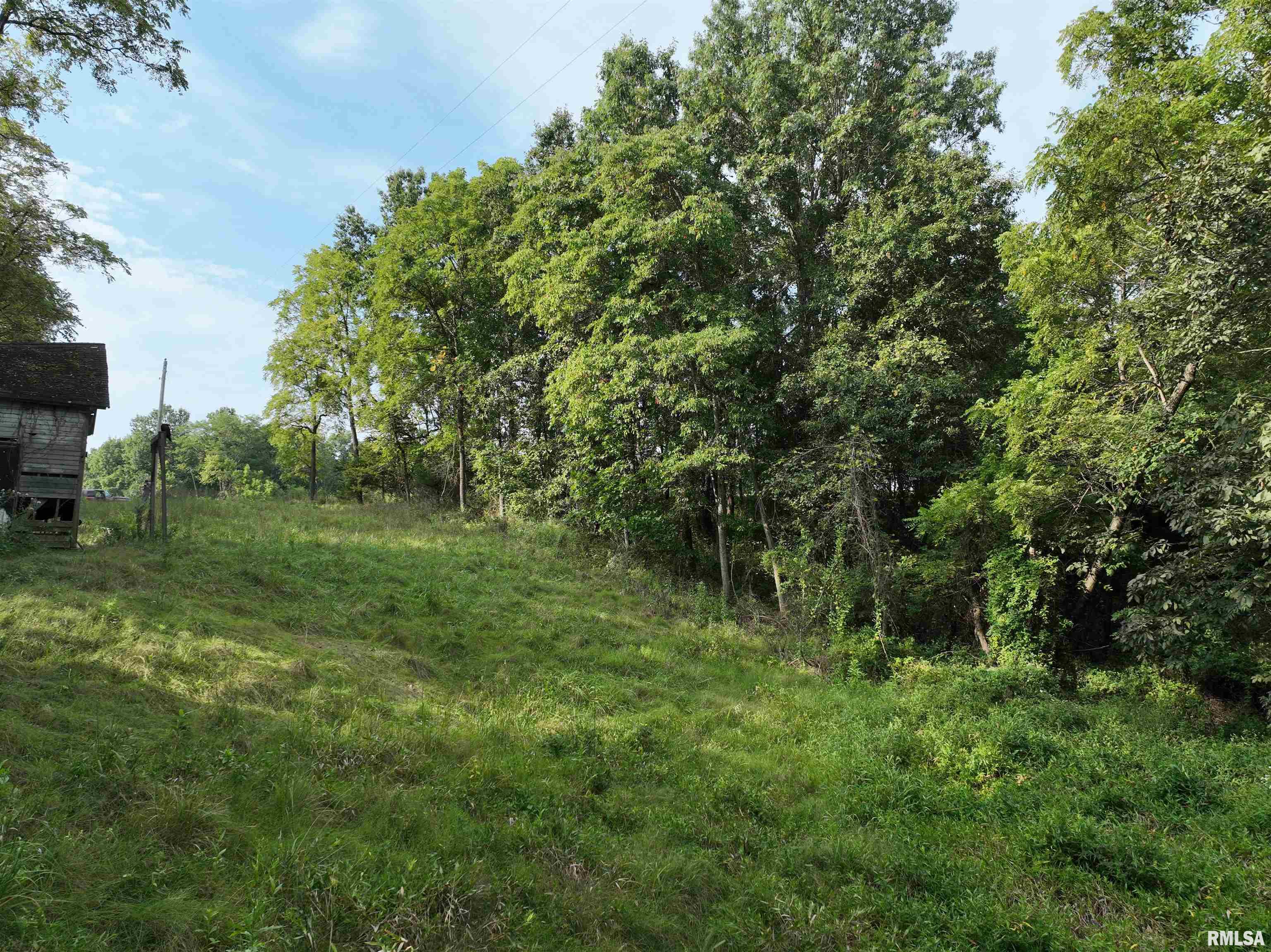 0 383rd Street Pittsfield, IL 62363 - Photo 14 of 20