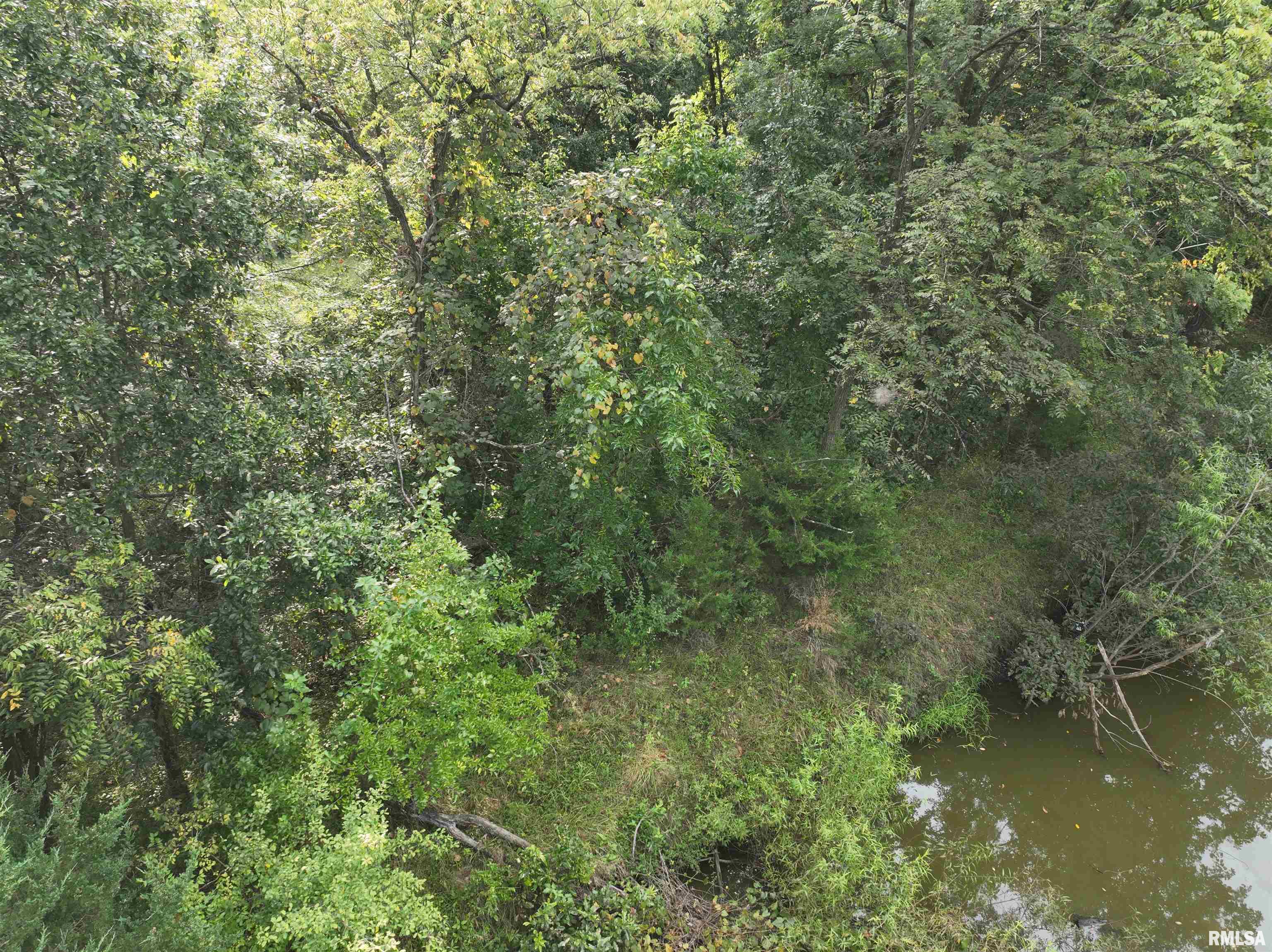 0 383rd Street Pittsfield, IL 62363 - Photo 16 of 20