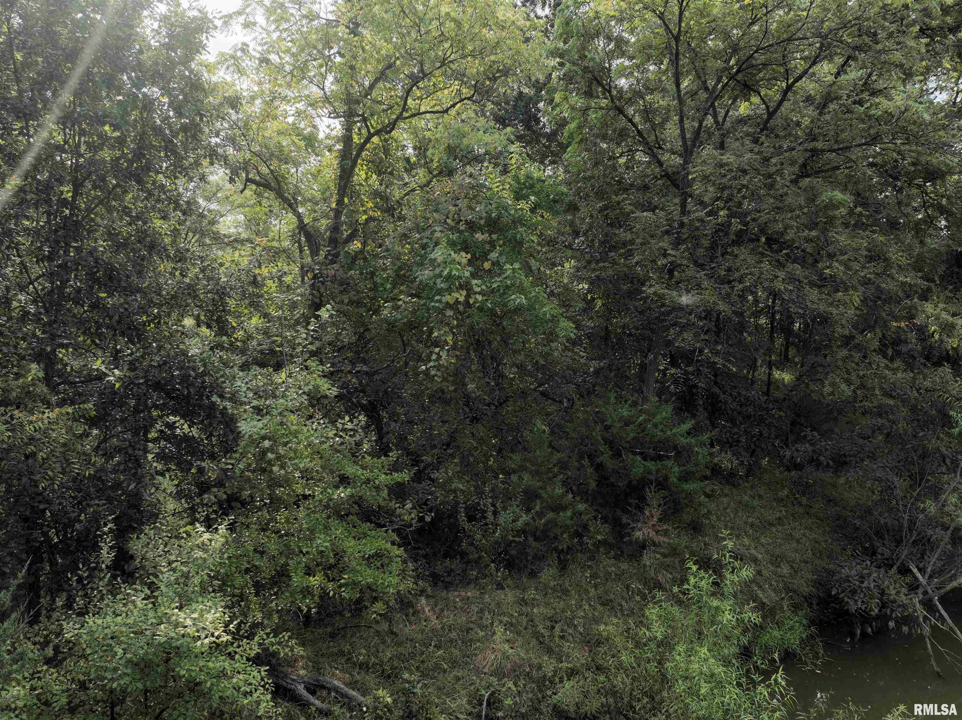 0 383rd Street Pittsfield, IL 62363 - Photo 17 of 20