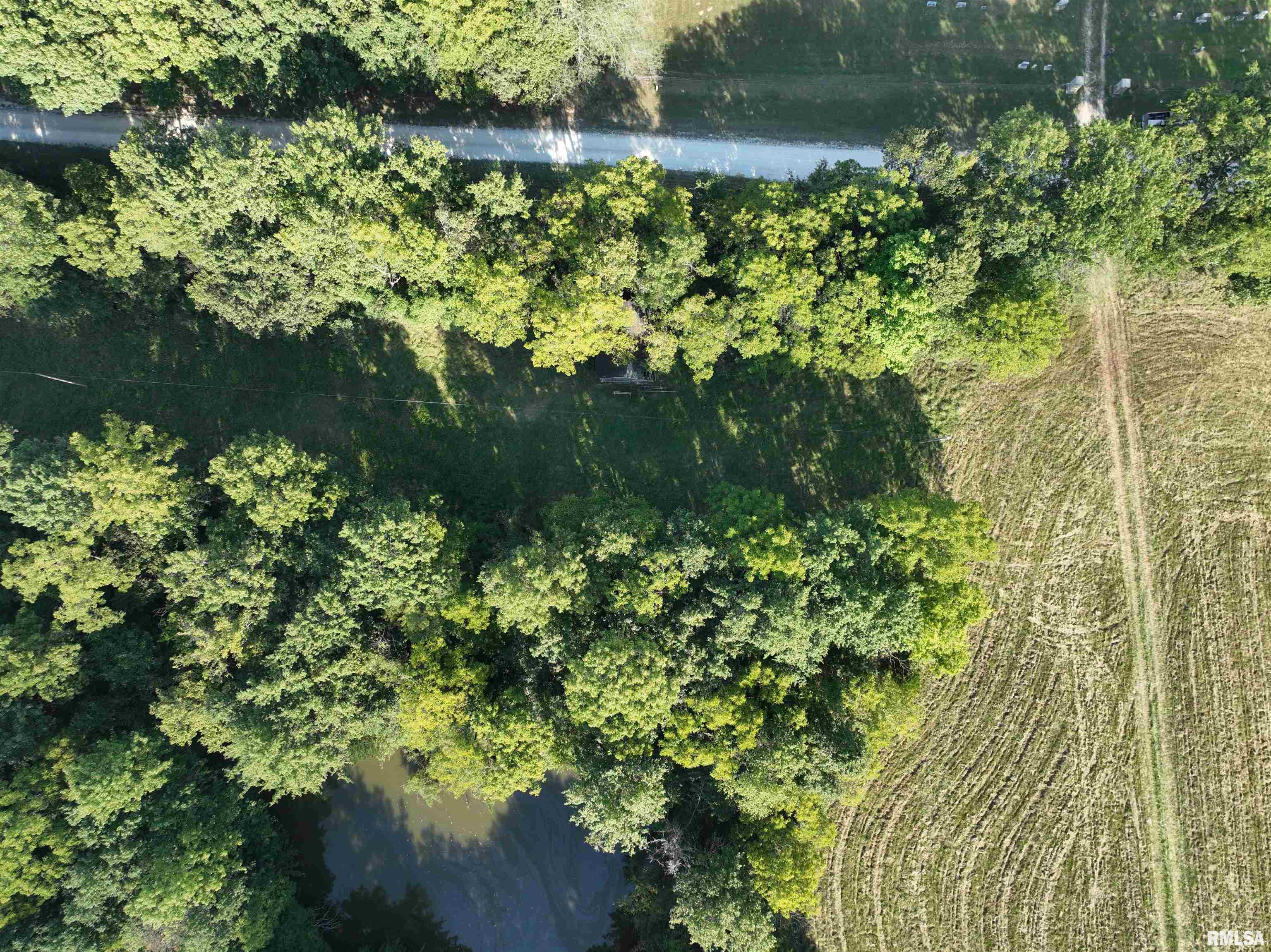 0 383rd Street Pittsfield, IL 62363 - Photo 3 of 20