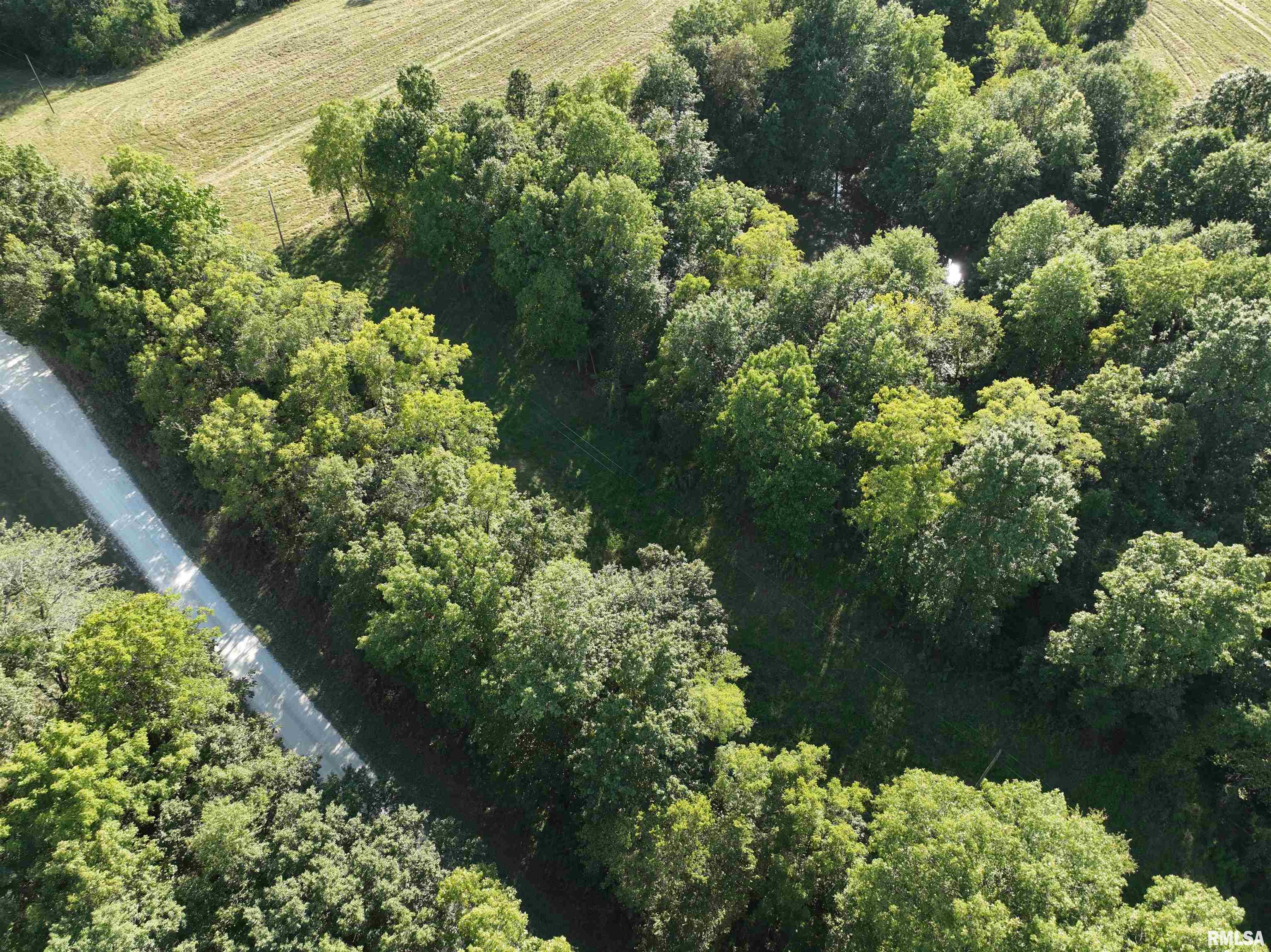 0 383rd Street Pittsfield, IL 62363 - Photo 5 of 20