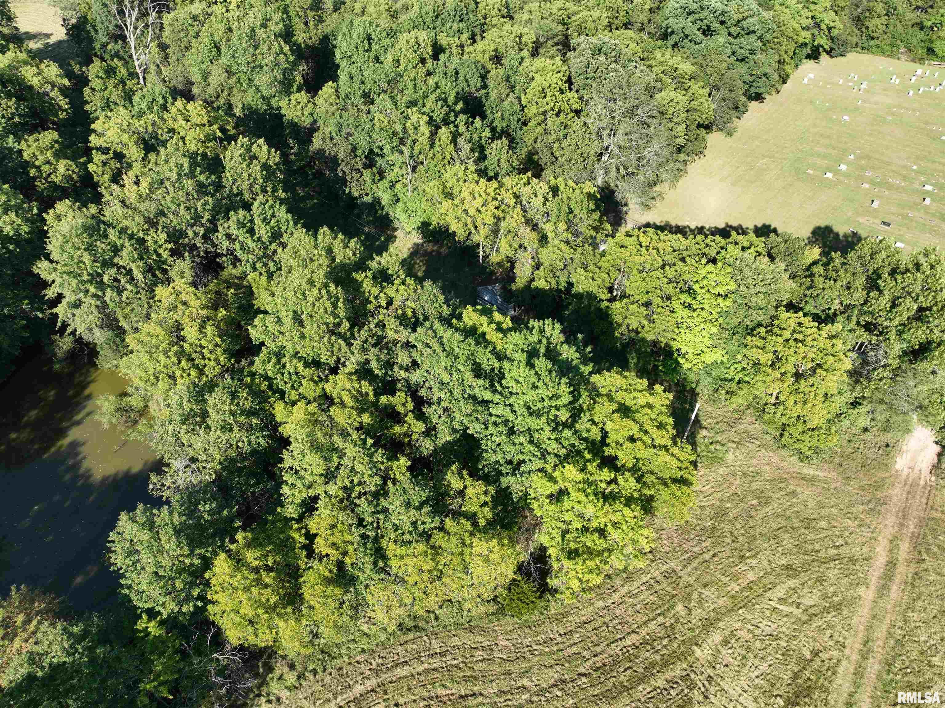 0 383rd Street Pittsfield, IL 62363 - Photo 8 of 20