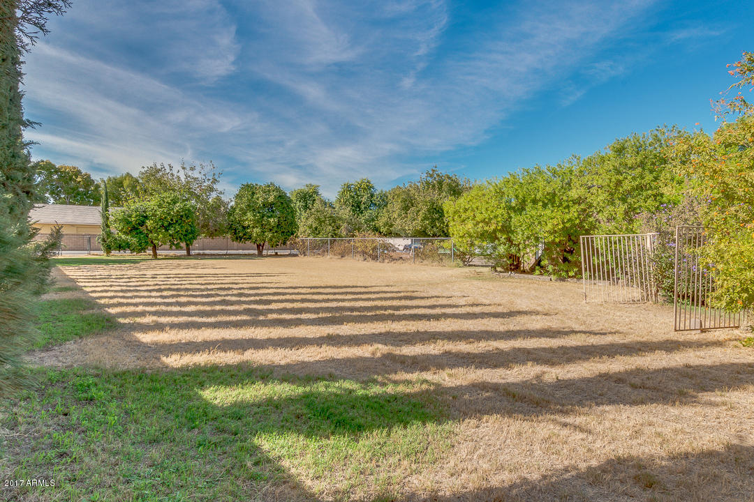 9239 South Terrace Road Tempe, AZ 85284 - Photo 49 of 65 53-Warner